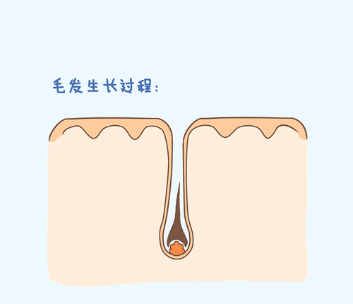 微信圖片_20210425112514.gif