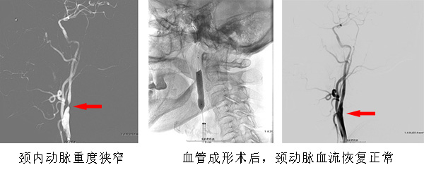 圖片31.jpg