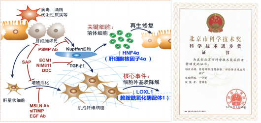 圖片 1(1)_00(1).png