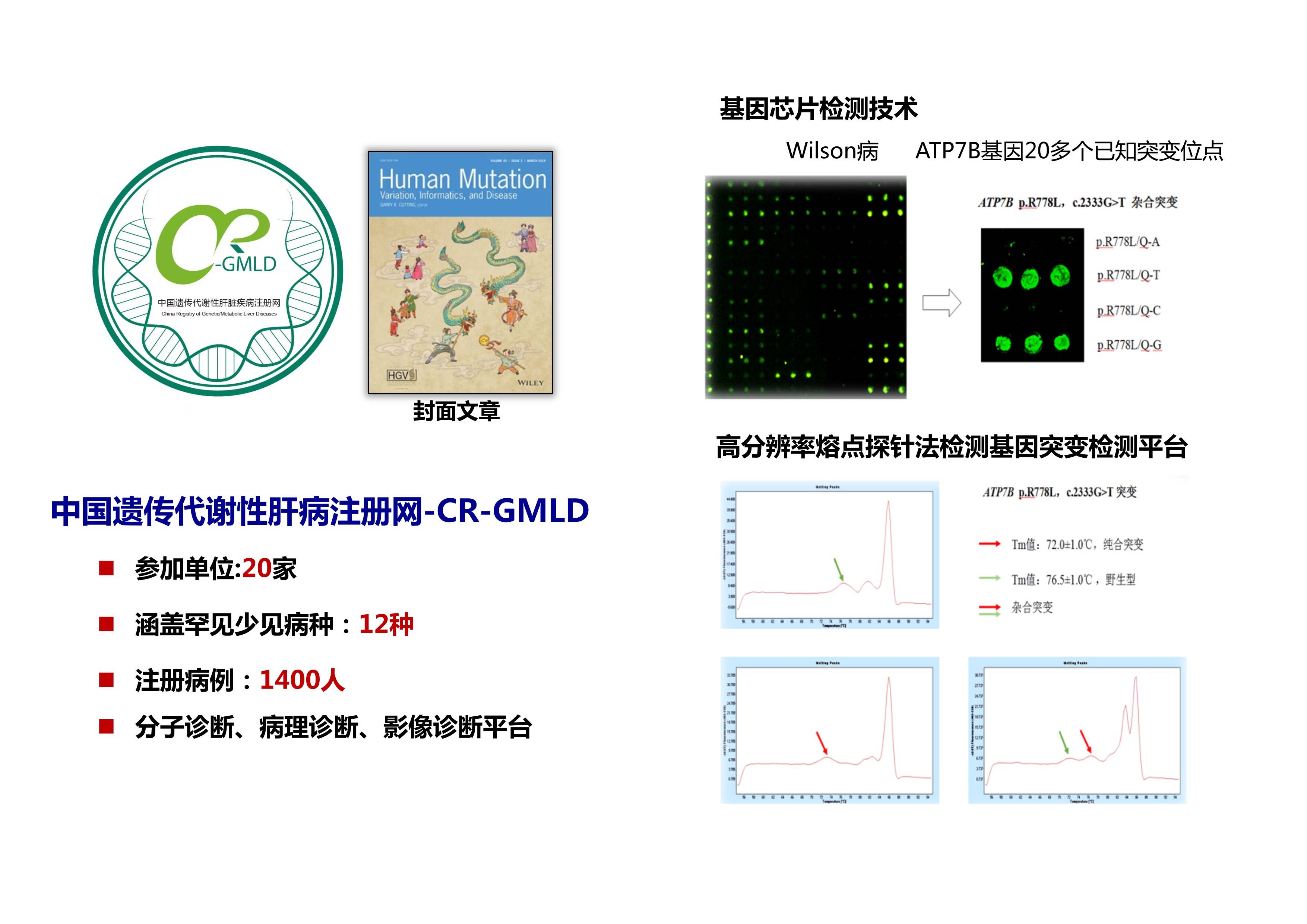 重大科研成果-肝病方向-牽頭中國疑難慢性肝病網絡建設，構建完善少見疑難肝病基因診斷平臺(1).jpg