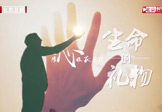 《生命緣·生命的禮物》我替你去看海